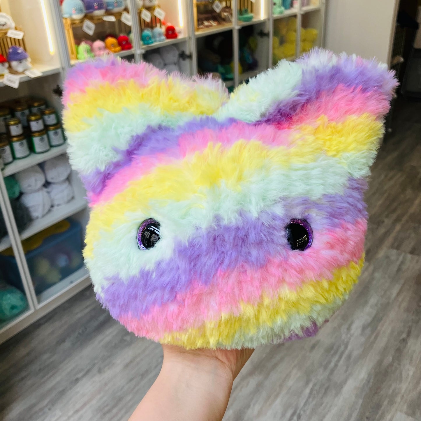 Atelier peluche